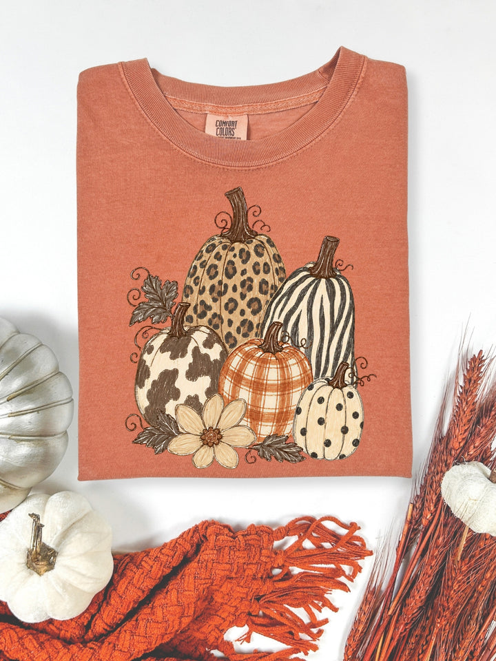 Retro Fall Pumpkin Set Comfort Colors Graphic Tee