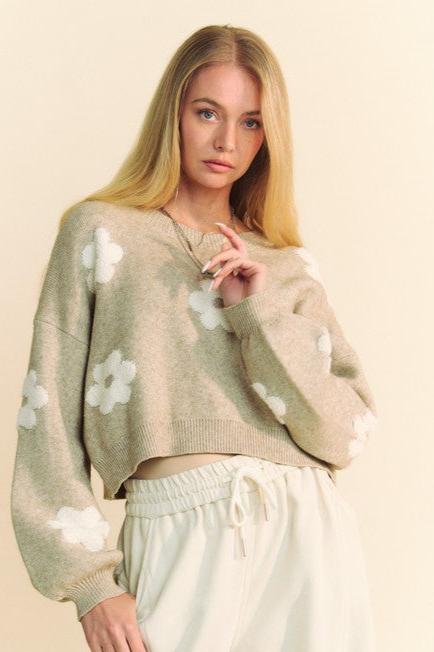 Davi & Dani Floral Cropped Sweater In Tan