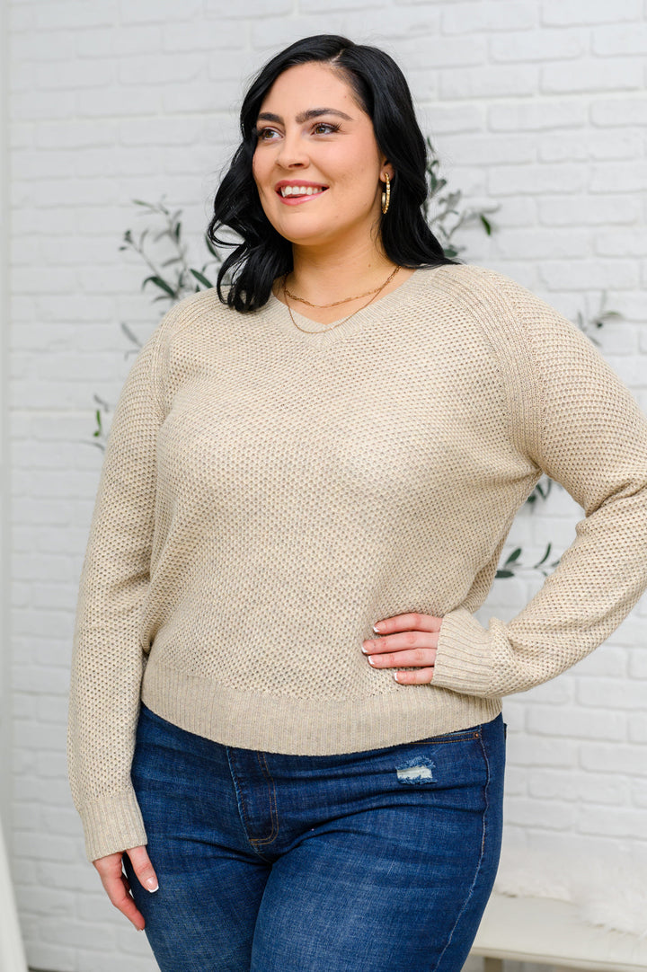 Chai Latte V-Neck Sweater in Oatmeal - AddiBray